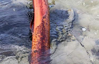 TROLLHUS - Großes familienfreundliches Ferienhaus - Foto 42