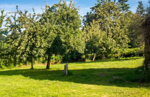 Maison charmante à Sourdeval avec jardin clôturé - Foto 10