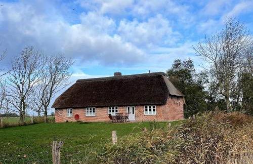 Ferienhaus Nele Emmelsbüll-Horsbüll - Foto 22