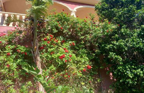 Villa Anna-Altea - Photo 45