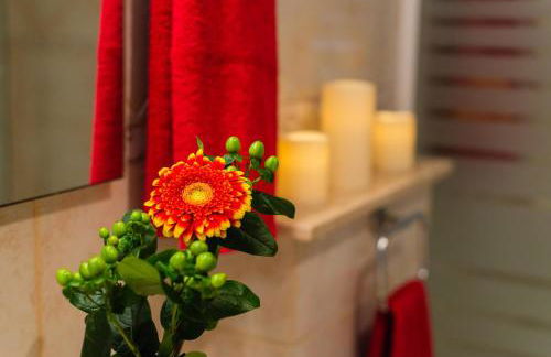 Drac Blanc 1-4 - Photo 13