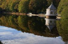 Apartment Naturblick Hollywood - Foto 33