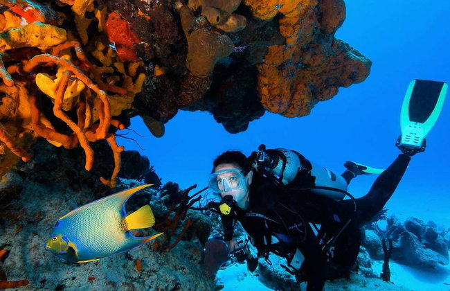 Buceo en Cozumel - Foto 2