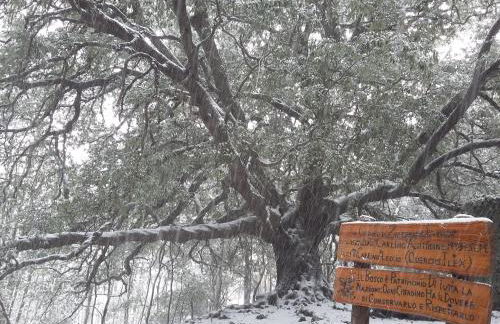 Charming Etna House - Foto 45