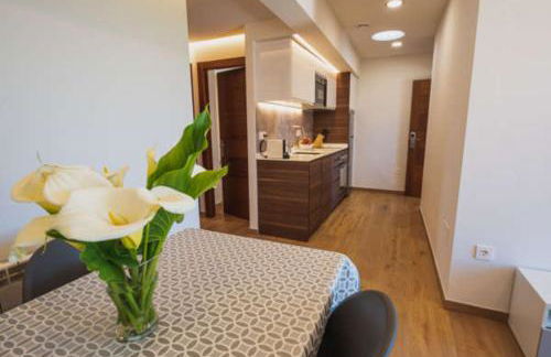 Apartamentos Mirador de Vidío - Foto 24