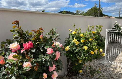 Le Gîte du vigneron - Foto 24