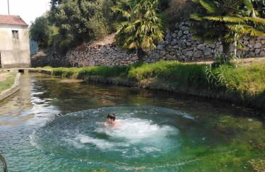 Quinta de São João - Foto 45