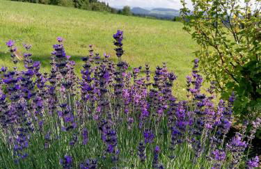 Ferienwohnung Bergblick - Foto 14