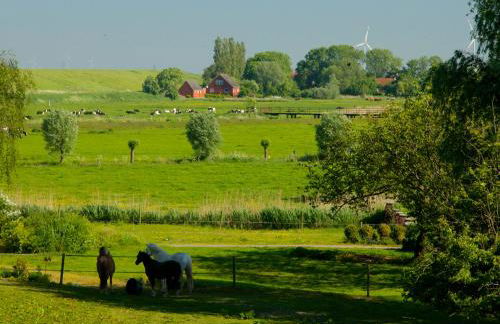 Haus Horizont - Foto 49