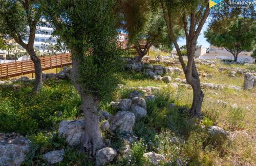 Apto Antic 302 Pax 4 - Foto 25