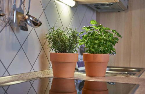 Ferienwohnungen Haus Elisabeth - Foto 36