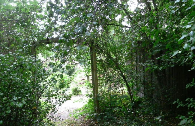 Cozy Holiday Home in Wietzendorf near Forest - Foto 17