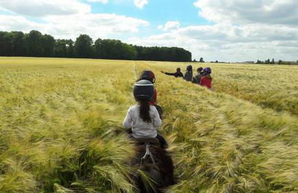 Élégance et confort à Chartres - Foto 45