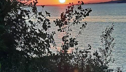 La casa sul lago dorato - Photo 4