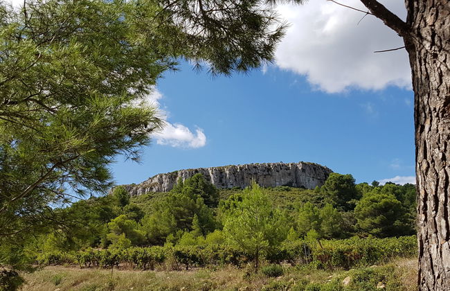 Les Romarins - Foto 16
