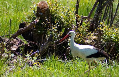 Hospedería El Pico del Fraile - Foto 33