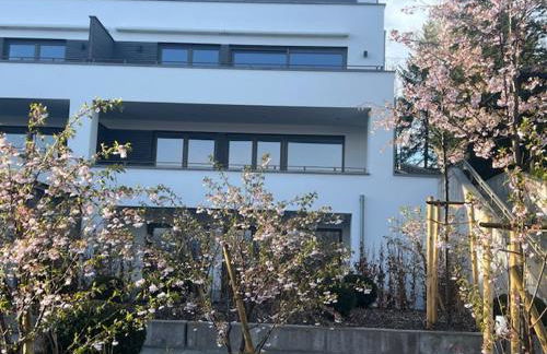 Ferienwohnung - Penthauswohnung Albblick, traumhafter Ausblick, ruhige Lage - Foto 10