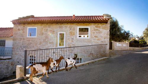 Tio Zé - Casas de Selim - Foto 2