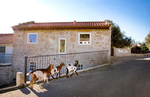 Tio Zé - Casas de Selim - Foto 2