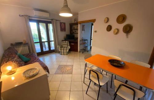 Casa con giardino in Maremma - Foto 15