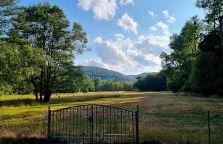 Ferienhaus Rehblick - direkt in der Natur, mit Lesezimmer und zwei Terrassen - Foto 30