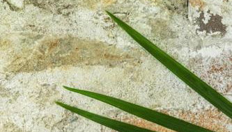 The Yard at Borough Farm - Foto 2