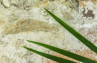 The Yard at Borough Farm - Foto 2