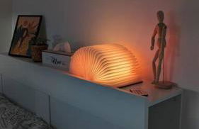 Le cosy botanique - Foto 11