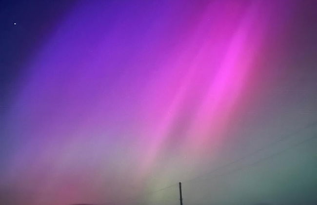 Farm Stay Property Pets and Families Welcome - Photo 26