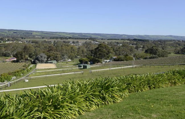 131 Your Vineyard Home in the heart of the Vale - Photo 20