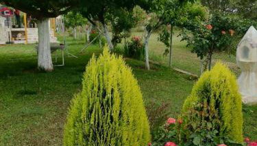 Villa Sophie - Photo 3