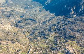 Finca Cas Sant - Foto 74