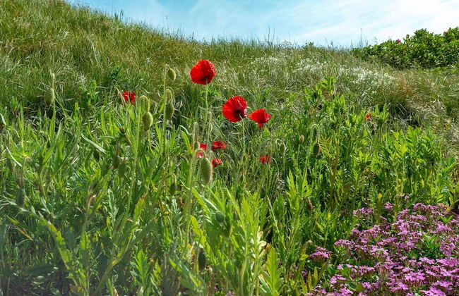Fantastic Apartment Seaside With Terrace - Foto 71