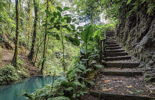 Cabañas Caeli Rainforest Glass Cabin La Perezosa La Fortuna - Foto 26