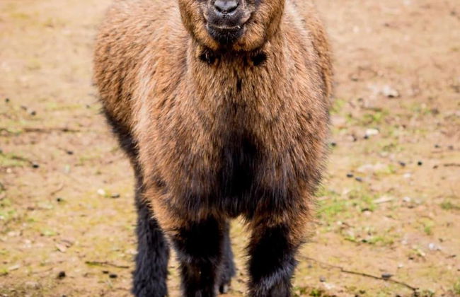 Quinta Manel Da Gaita - Foto 6
