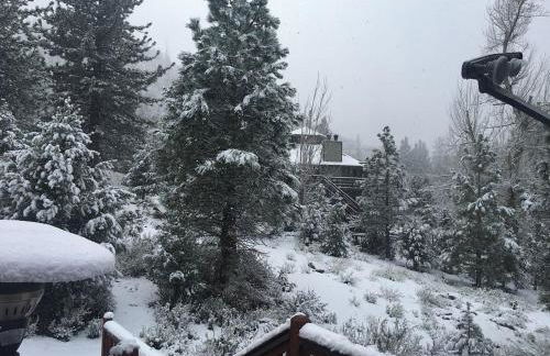 Enjoy Privacy - Pine Mountain - Spacious Home - Foto 44