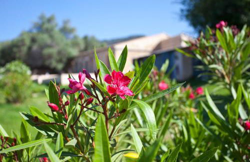 Agroturismo Finca Dalt Murada - Photo 27