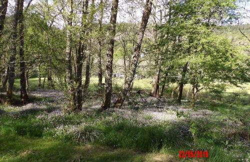 Forest Glen Holiday Park - Photo 10