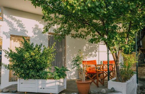 The apricot tree studio - Foto 26