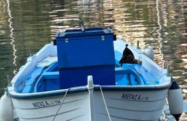 Flotillen Segeln in Griechenland inklusive Skipper und Tourguide 7 Nächte mit 7 Inseln im Ionischen Meer An- und Abreise SAMSTAG Kojencharter und Mitsegeln - Foto 30
