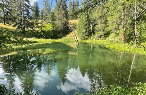 AU PIED DES PISTES D'ARVIEUX - Foto 35