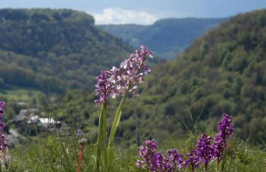 Maison de Vacances - vue panoramique rivière - Foto 10