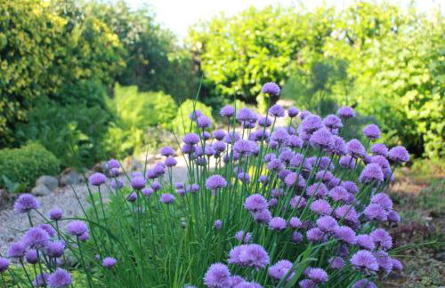 Dromore House Historic Country house - Foto 59