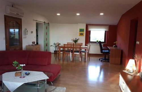 Apartman Aleks - Foto 31