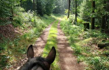 Gästehaus Cube am Forsthaus - Foto 15