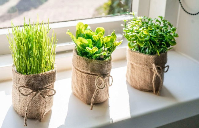 Holiday Home in Garderen With Garden - Photo 25