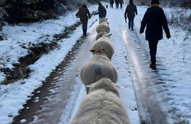 Das Falken Nest - Foto 7