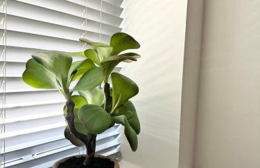 The Wilsons Courtyard, 2 - Bed, Sleeps 4, Pets Welcome - Foto 14