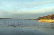 Ferienhaus am Birkenwaeldchen - Motzener See 150m - Foto 56