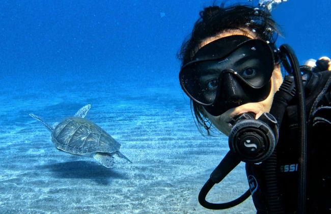 Batismo de mergulho em Abades - Foto 6